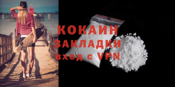молекула духа Вяземский