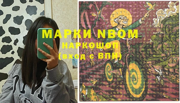 молекула духа Вяземский