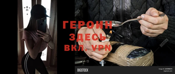 молекула духа Вяземский