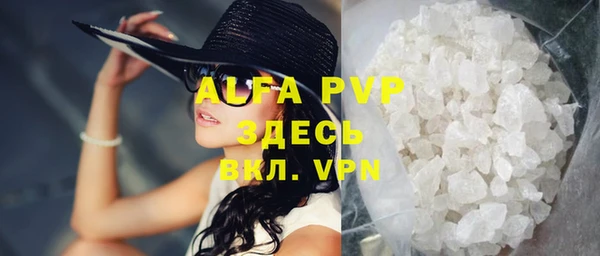 молекула духа Вяземский