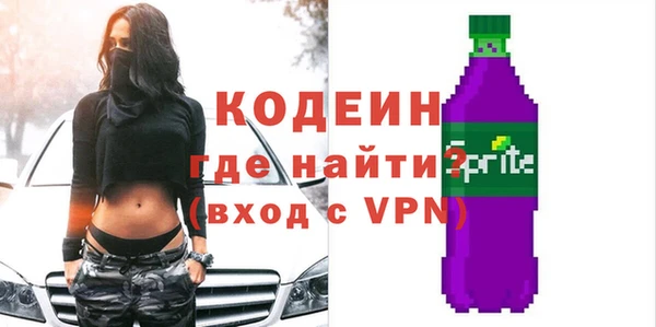 молекула духа Вяземский
