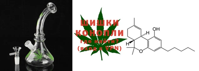 молекула духа Вяземский