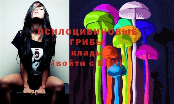 гашик Вязники