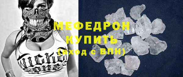молекула духа Вяземский