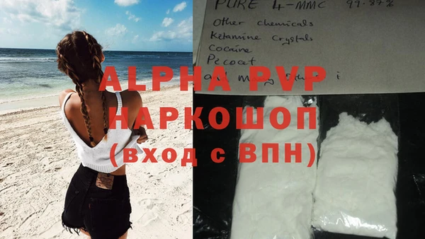 гашик Вязники