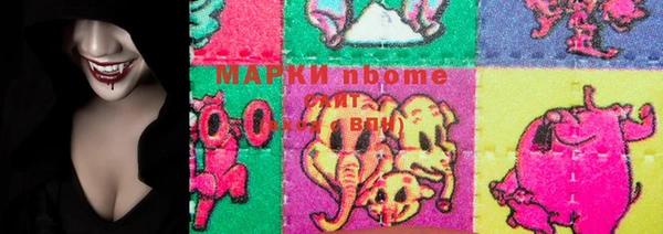 молекула духа Вяземский