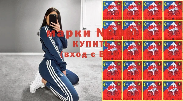 молекула духа Вяземский
