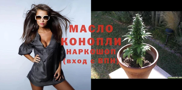 молекула духа Вяземский