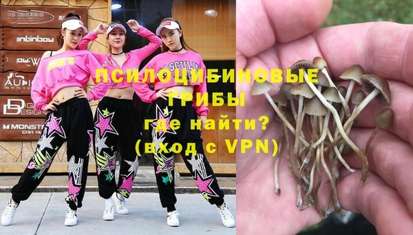 гашик Вязники