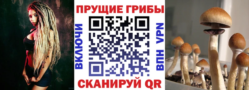 KRAKEN рабочий сайт  Каспийск  Галлюциногенные грибы ЛСД 